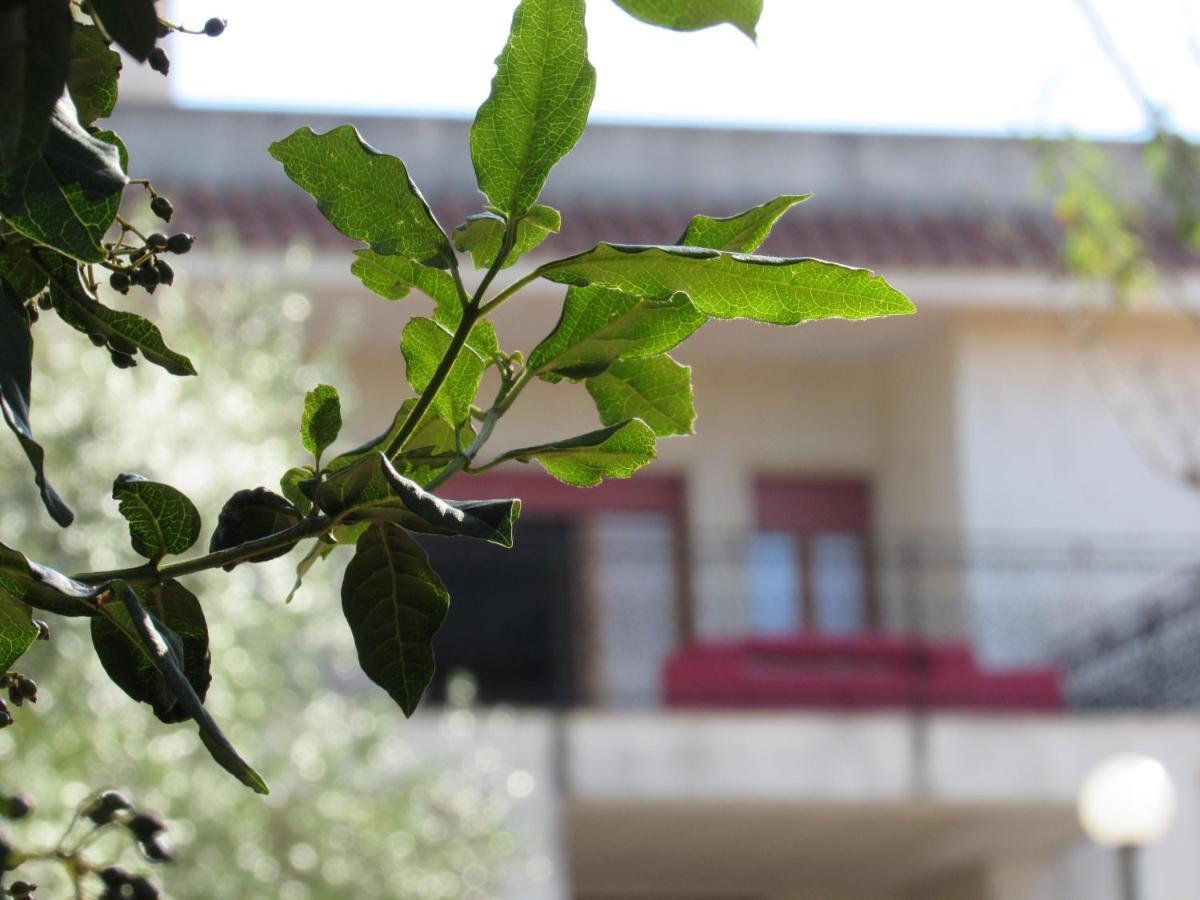 Holiday home Casa Il Giovane Alloro